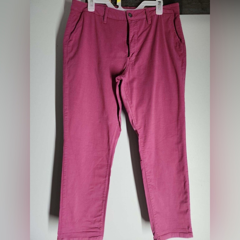 Cosmic Blue Plus Size Jeans Like New Size 33 and PINK